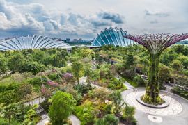 Gardens by the Bay, thành phố trong một khu vườn